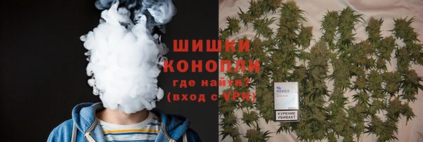 ПСИЛОЦИБИНОВЫЕ ГРИБЫ Верея