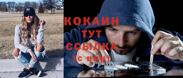 дурь Бронницы