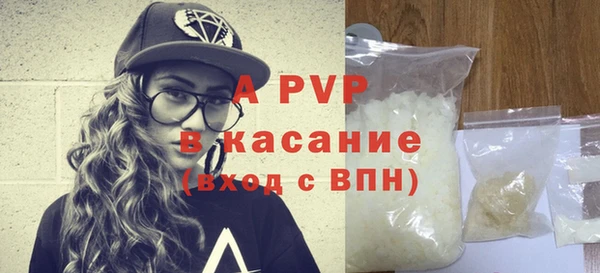 ПСИЛОЦИБИНОВЫЕ ГРИБЫ Верея