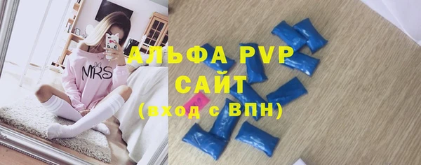 ПСИЛОЦИБИНОВЫЕ ГРИБЫ Верея
