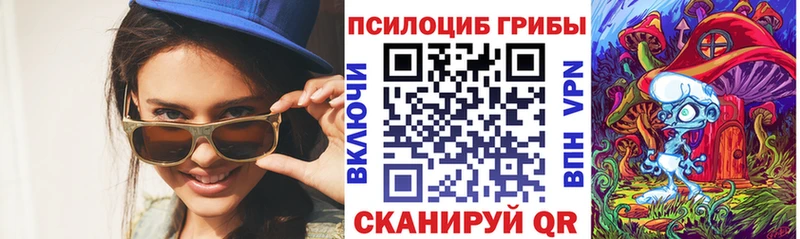 даркнет Telegram  Канск  Псилоцибиновые грибы Cubensis 